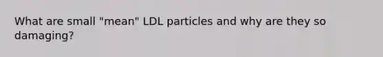 What are small "mean" LDL particles and why are they so damaging?