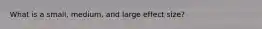 What is a small, medium, and large effect size?