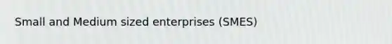 Small and Medium sized enterprises (SMES)