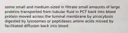 some small and medium-sized in filtrate small amounts of large proteins transported from tubular fluid in PCT back into blood protein moved across the luminal membrane by pinocytosis digested by lysosomes or peptidases amino acids moved by facilitated diffusion back into blood