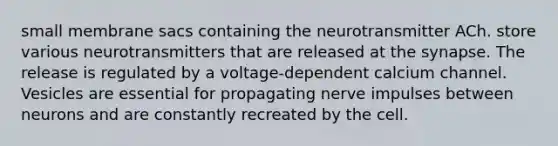 small membrane sacs containing the neurotransmitter ACh. store various neurotransmitters that are released at <a href='https://www.questionai.com/knowledge/kTCXU7vaKU-the-synapse' class='anchor-knowledge'>the synapse</a>. The release is regulated by a voltage-dependent calcium channel. Vesicles are essential for propagating nerve impulses between neurons and are constantly recreated by the cell.