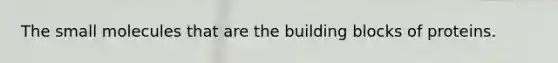 The small molecules that are the building blocks of proteins.