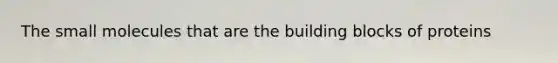 The small molecules that are the building blocks of proteins