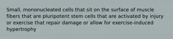 Small, mononucleated cells that sit on the surface of muscle fibers that are pluripotent stem cells that are activated by injury or exercise that repair damage or allow for exercise-induced hypertrophy