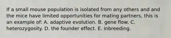 If a small mouse population is isolated from any others and and the mice have limited opportunities for mating partners, this is an example of: A. adaptive evolution. B. gene flow. C. heterozygosity. D. the founder effect. E. inbreeding.