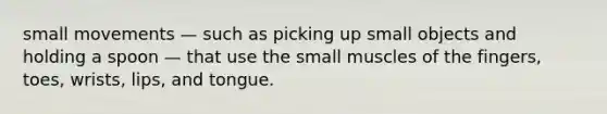 small movements — such as picking up small objects and holding a spoon — that use the small muscles of the fingers, toes, wrists, lips, and tongue.