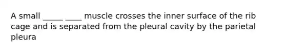 A small _____ ____ muscle crosses the inner surface of the rib cage and is separated from the pleural cavity by the parietal pleura