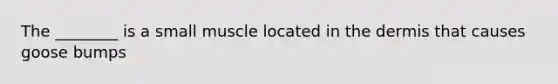 The ________ is a small muscle located in the dermis that causes goose bumps