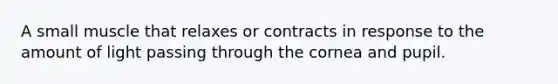 A small muscle that relaxes or contracts in response to the amount of light passing through the cornea and pupil.