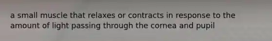 a small muscle that relaxes or contracts in response to the amount of light passing through the cornea and pupil