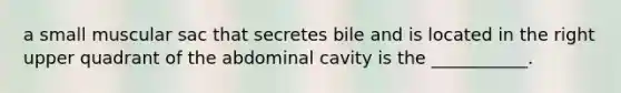 a small muscular sac that secretes bile and is located in the right upper quadrant of the abdominal cavity is the ___________.