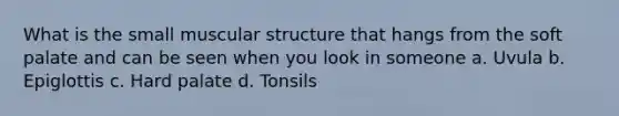 What is the small muscular structure that hangs from the soft palate and can be seen when you look in someone a. Uvula b. Epiglottis c. Hard palate d. Tonsils