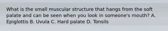 What is the small muscular structure that hangs from the soft palate and can be seen when you look in someone's mouth? A. Epiglottis B. Uvula C. Hard palate D. Tonsils