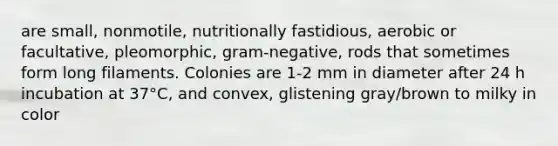 are small, nonmotile, nutritionally fastidious, aerobic or facultative, pleomorphic, gram-negative, rods that sometimes form long filaments. Colonies are 1-2 mm in diameter after 24 h incubation at 37°C, and convex, glistening gray/brown to milky in color