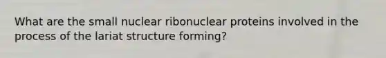 What are the small nuclear ribonuclear proteins involved in the process of the lariat structure forming?