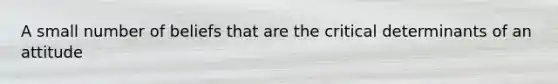 A small number of beliefs that are the critical determinants of an attitude