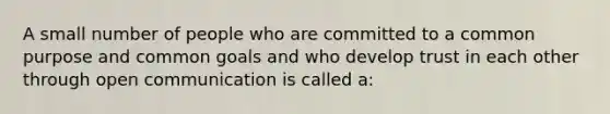 A small number of people who are committed to a common purpose and common goals and who develop trust in each other through open communication is called a: