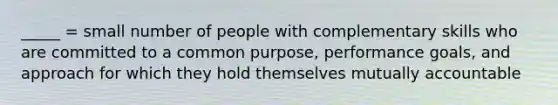 _____ = small number of people with complementary skills who are committed to a common purpose, performance goals, and approach for which they hold themselves mutually accountable