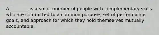 A ________ is a small number of people with complementary skills who are committed to a common purpose, set of performance goals, and approach for which they hold themselves mutually accountable.