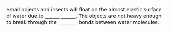 Small objects and insects will float on the almost elastic surface of water due to ______ ______. The objects are not heavy enough to break through the ________ bonds between water molecules.