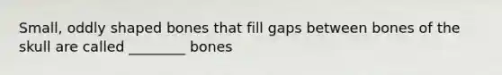 Small, oddly shaped bones that fill gaps between bones of the skull are called ________ bones