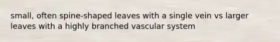 small, often spine-shaped leaves with a single vein vs larger leaves with a highly branched vascular system