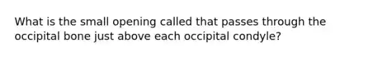 What is the small opening called that passes through the occipital bone just above each occipital condyle?