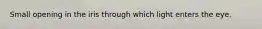 Small opening in the iris through which light enters the eye.