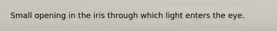Small opening in the iris through which light enters the eye.