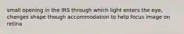 small opening in the IRS through which light enters the eye, changes shape though accommodation to help focus image on retina