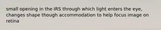 small opening in the IRS through which light enters the eye, changes shape though accommodation to help focus image on retina