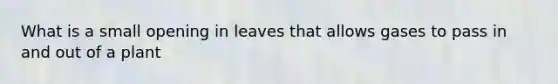 What is a small opening in leaves that allows gases to pass in and out of a plant