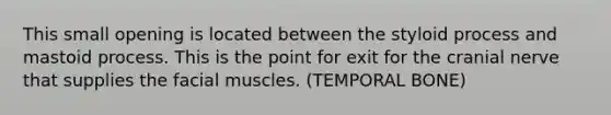 This small opening is located between the styloid process and mastoid process. This is the point for exit for the cranial nerve that supplies the facial muscles. (TEMPORAL BONE)