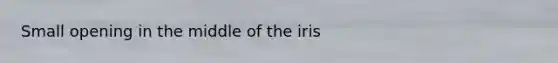 Small opening in the middle of the iris