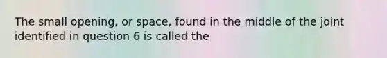 The small opening, or space, found in the middle of the joint identified in question 6 is called the