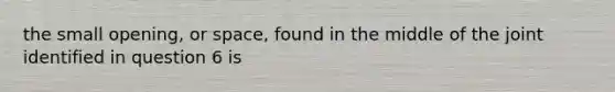 the small opening, or space, found in the middle of the joint identified in question 6 is