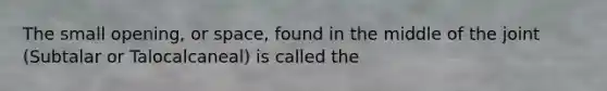 The small opening, or space, found in the middle of the joint (Subtalar or Talocalcaneal) is called the