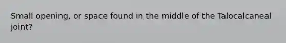 Small opening, or space found in the middle of the Talocalcaneal joint?