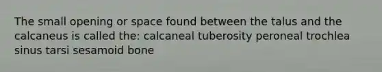 The small opening or space found between the talus and the calcaneus is called the: calcaneal tuberosity peroneal trochlea sinus tarsi sesamoid bone