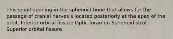 This small opening in the sphenoid bone that allows for the passage of cranial nerves s located posteriorly at the apex of the orbit. Inferior orbital fissure Optic foramen Sphenoid strut Superior orbital fissure