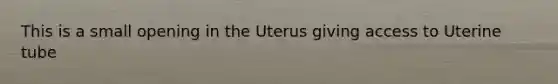 This is a small opening in the Uterus giving access to Uterine tube