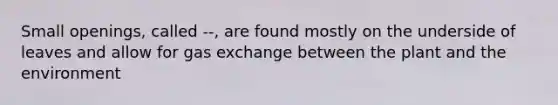 Small openings, called --, are found mostly on the underside of leaves and allow for gas exchange between the plant and the environment