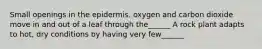 Small openings in the epidermis. oxygen and carbon dioxide move in and out of a leaf through the______ A rock plant adapts to hot, dry conditions by having very few______