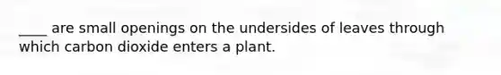 ____ are small openings on the undersides of leaves through which carbon dioxide enters a plant.