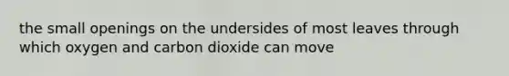 the small openings on the undersides of most leaves through which oxygen and carbon dioxide can move