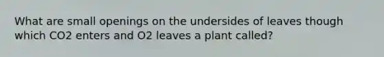 What are small openings on the undersides of leaves though which CO2 enters and O2 leaves a plant called?