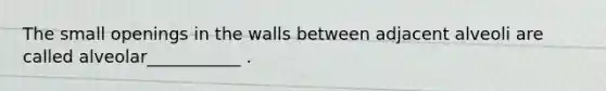 The small openings in the walls between adjacent alveoli are called alveolar___________ .