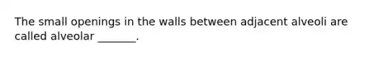 The small openings in the walls between adjacent alveoli are called alveolar _______.