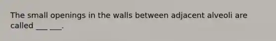 The small openings in the walls between adjacent alveoli are called ___ ___.