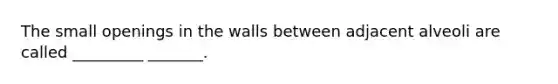 The small openings in the walls between adjacent alveoli are called _________ _______.